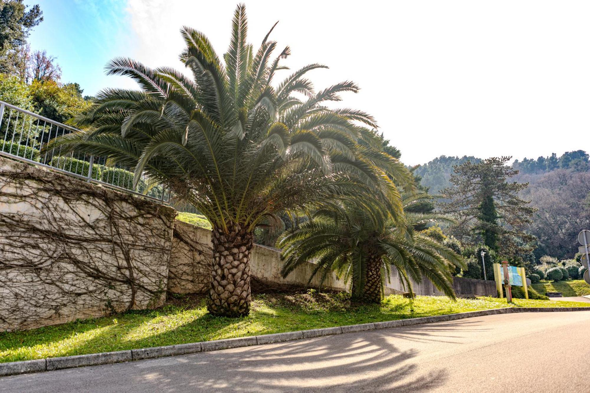 Villa Yadranka II Sea view terrace Strunjan Esterno foto